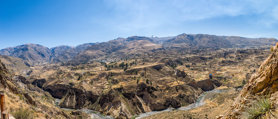 Panoramic view of Colca Canyon in Peru, famous for it's condor birds that fly there