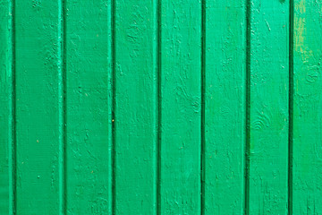 emerald wooden panel. green rural texture background.