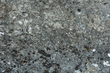 vieux mur