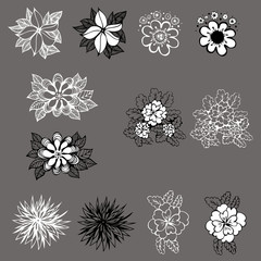set of vector design of flowers