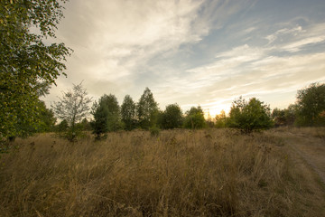 Obraz premium Jesienne lasy