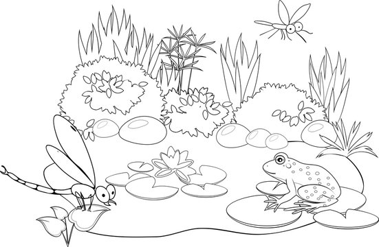 Coloring pond
