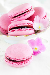 berry macaroon