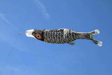 Fototapeta na wymiar chinesischer Fischdrachen