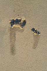 Barefoot prints on beach
