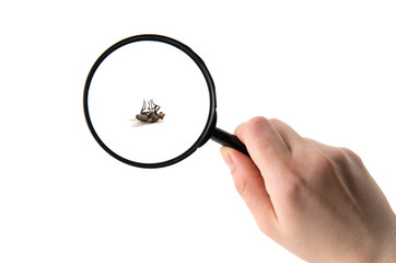 Hand holding magnifying glass isolated on white background