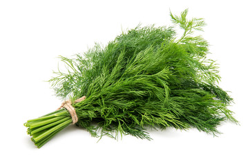 Fresh dill close up on white background