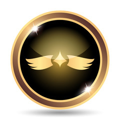 Wings icon