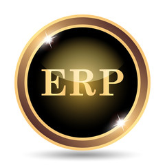 ERP icon