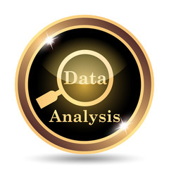 Data analysis icon