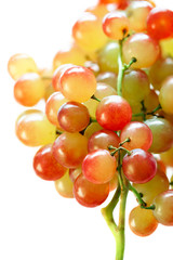 Closeup of a bunch of juicy grapes, isolated - muscat variety