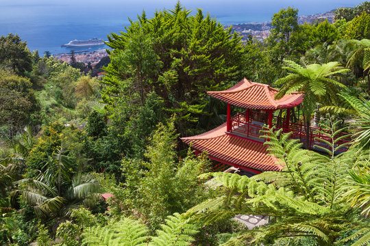 View of Tropical Garden and Funchal City in Monte Palace, Funchal, Madeira