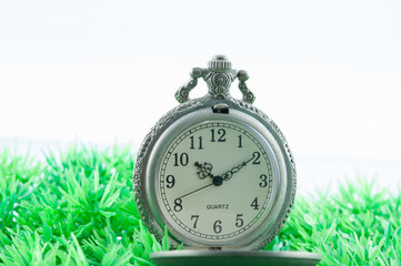 Pocket watch