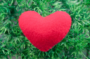 closeup of a red heart