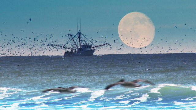 4K Commercial Fishing Boat in the Evening