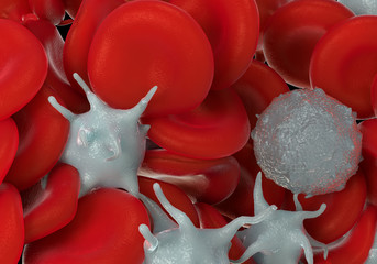 red blood cells,activated platelet and white blood cells microscopic photos