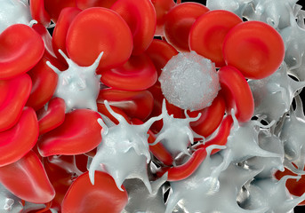 red blood cells,activated platelet and white blood cells microscopic photos - obrazy, fototapety, plakaty