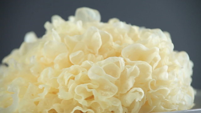 tremella,White fungus,