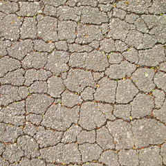 Macro closeup on concrete asphalt cracks on the road