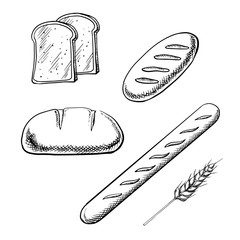 Toasts, long loaves, baguette and wheat ear