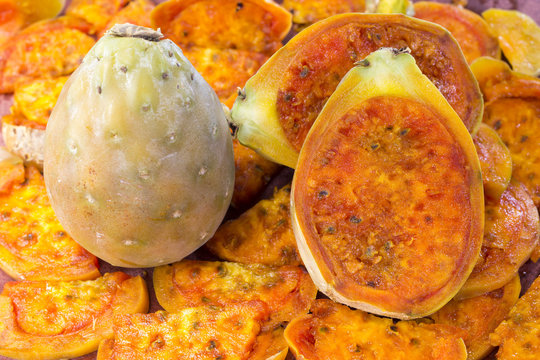 Higo Chumbo (Opuntia ficus-indica)
