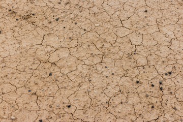 dried and cracked ground surface