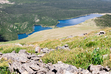 mountain landscape scenery with blue sky above timberline
