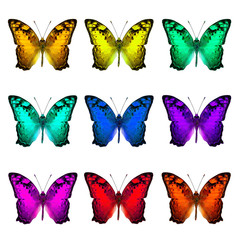 Fototapeta na wymiar The set of collection Vagrant Butterflies in various fancy color