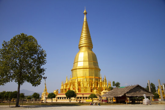 Big sharp pagoda golden