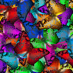 Exotic multicolor background texture made of Vagrant butterflies