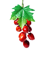Fake grape on white background