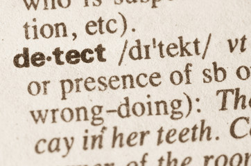 Dictionary definition of word detect