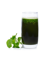 Centella asiatica, Asiatic Pennywort,Herbal Drink. Has medicinal