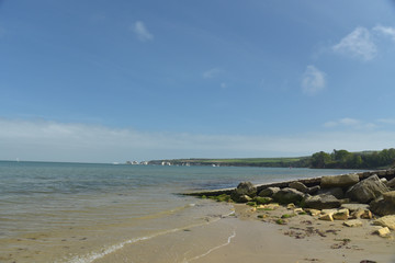 Hut and tree on Studland Bay in Dorset