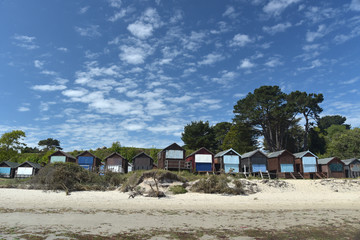 Hut and tree onBeach huts on Studland Bay in Dorset Studland Bay in Dorset