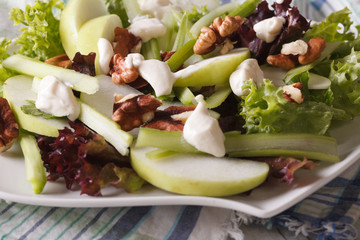 Healthy Waldorf Salad close-up on a plate. horizontal