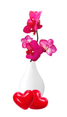 Beautiful flower Orchid, pink phalaenopsis in vase isolated on w