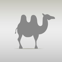 Camel Logo design template silhouette. Desert Travel
