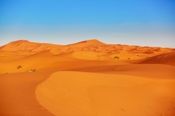 Plakat Sand dunes in the Sahara Desert