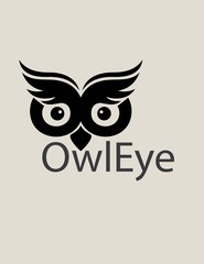 Owl Eye Logo, art vector design