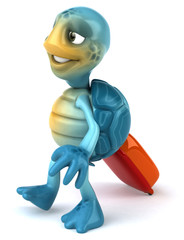 Fun turtle