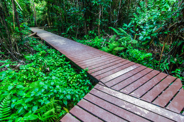 Wood walkway on a wild park to the Waterfall Huay Mae Kamin, Thailand.