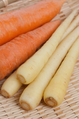 ニンジン　クリームハーモニー　