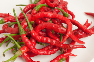 完熟した水引唐辛子