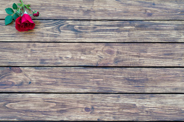 Obraz premium roses on a wooden background