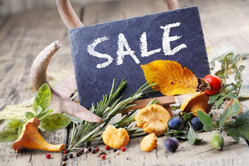 Herbst SALE  -  Angebote