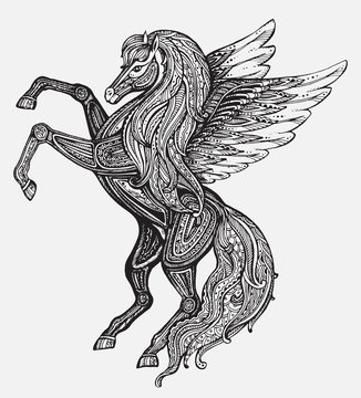 Hand drawn Pegasus mythological winged horse. Victorian motif, t