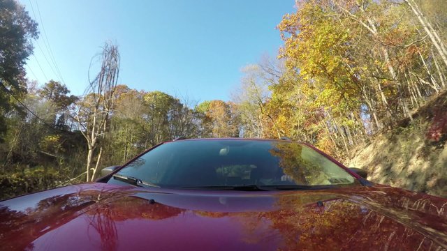 4K Reverse POV Driving in the Country