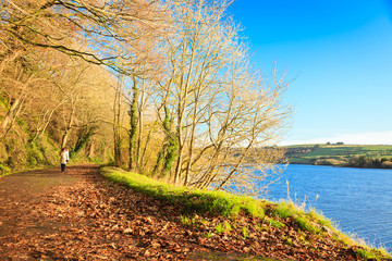 Woman walking relaxing in autumn park. Co.Cork, Ireland.
