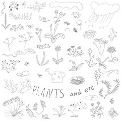 set of doodle plants